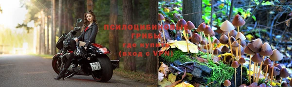 каннабис Баксан