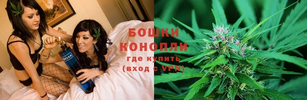 ГАЛЛЮЦИНОГЕННЫЕ ГРИБЫ Арсеньев