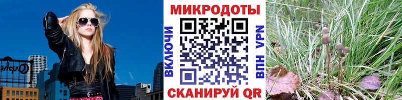 Псилоцибиновые грибы прущие грибы  где купить наркоту  kraken как войти  Заречный 